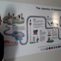 The Journey of Sababay Wine