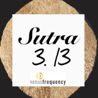 Canva Sutra 3.13